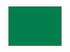 Practice green flag Ø 1.3 cm rod&amp;lt;br&amp;gt;Green - Large tube (1 pc)